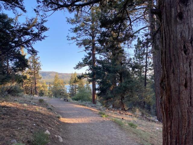 Villa The Fox Paw Big Bear Lake Esterno foto