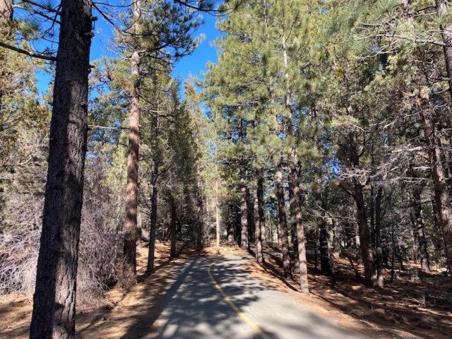 Villa The Fox Paw Big Bear Lake Esterno foto